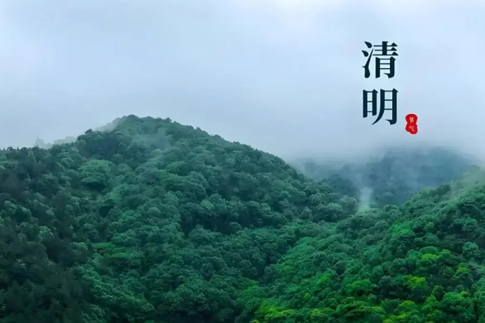 清明寄思，研途逐光 | 临研通与您共赴春日之约，守护健康与创新