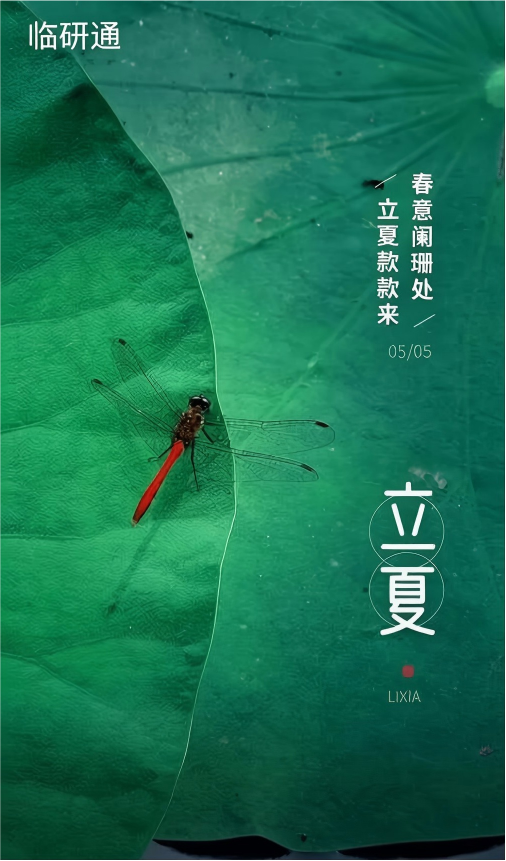 立夏立夏至，万物繁茂时 | 临研通致全体奋斗者：夏启新章，安然向暖