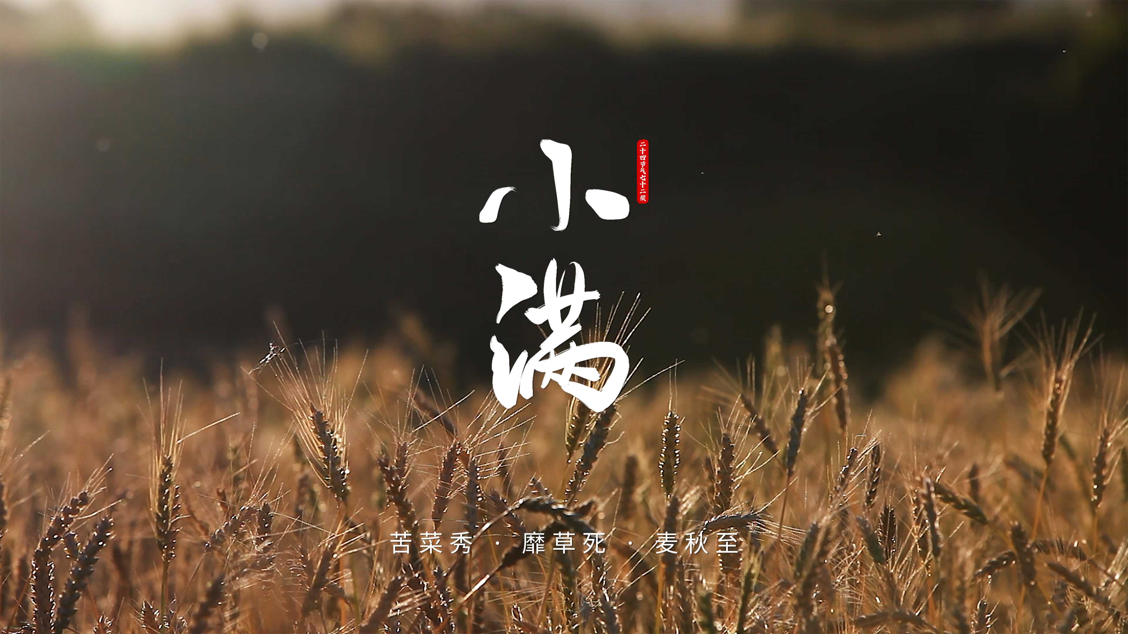 小满至，蓄力生长｜顺势精进，笃行致远