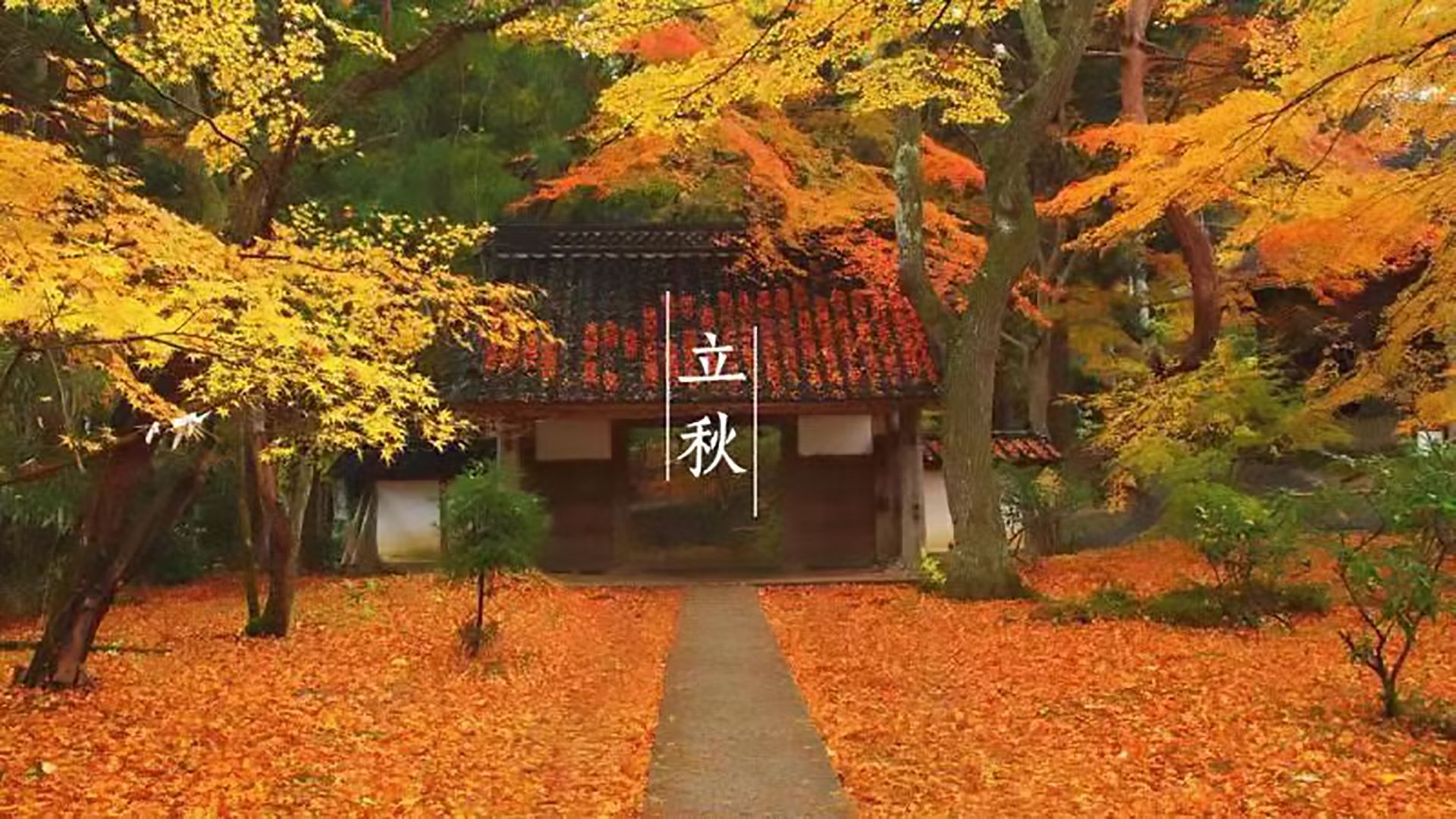 临研通集团 | 立秋启新，智启医研新程