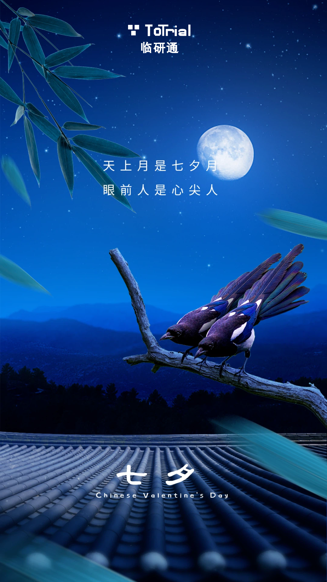 星河相会，AI 搭桥｜临研通陪医研人双向奔赴